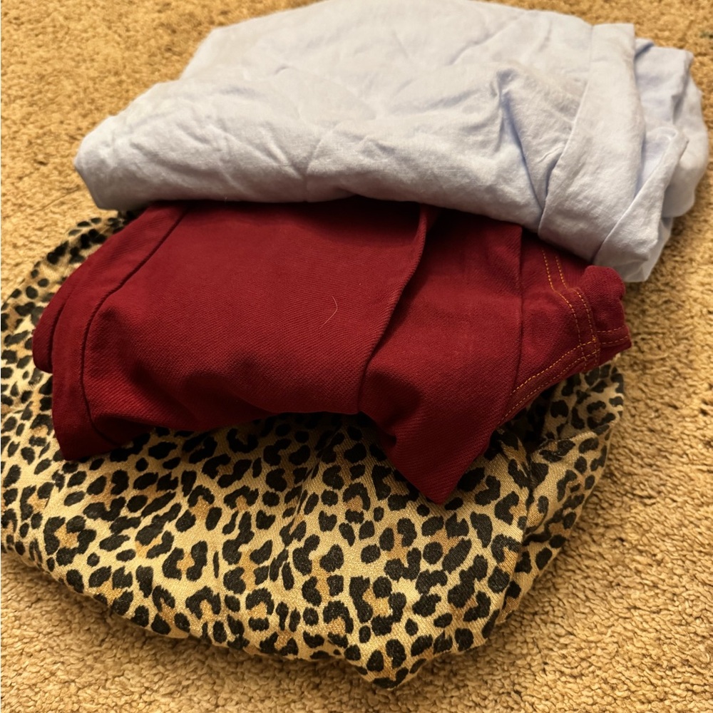 Leopard Print, Red, and Light Blue Clothing Set